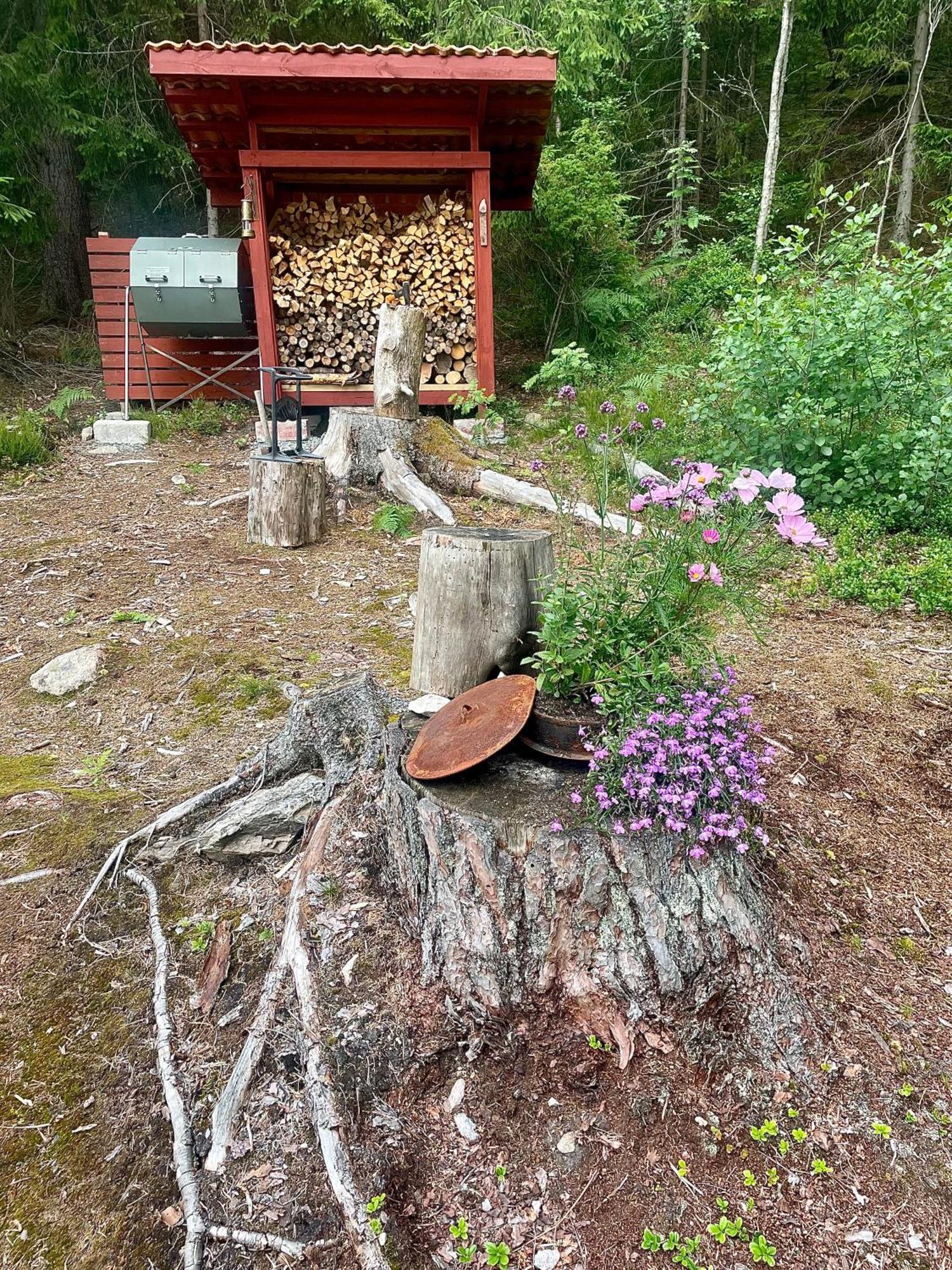 Wood Wise Glasshouse Glamping *