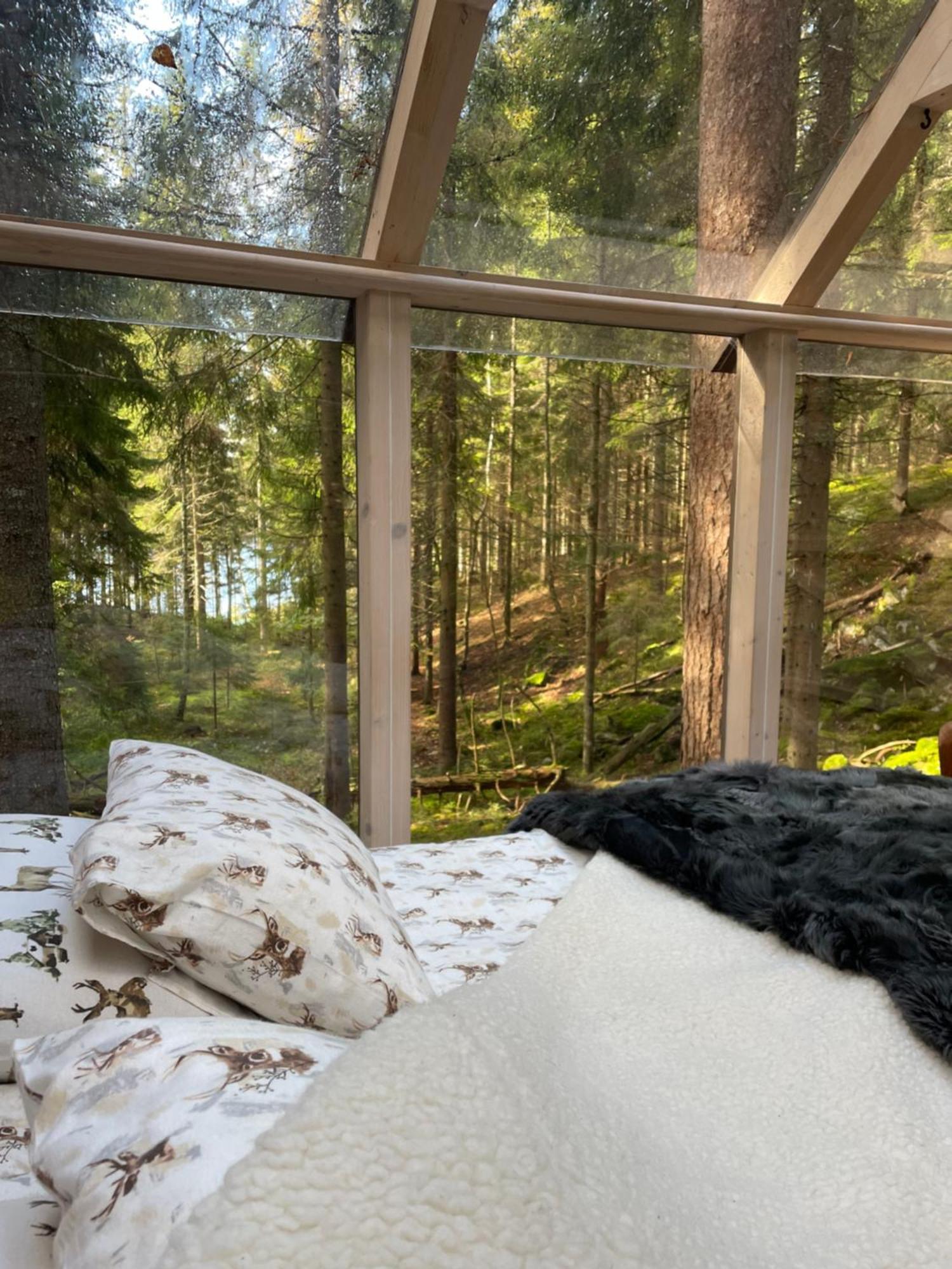 Wood Wise Glasshouse Glamping Luxury tent