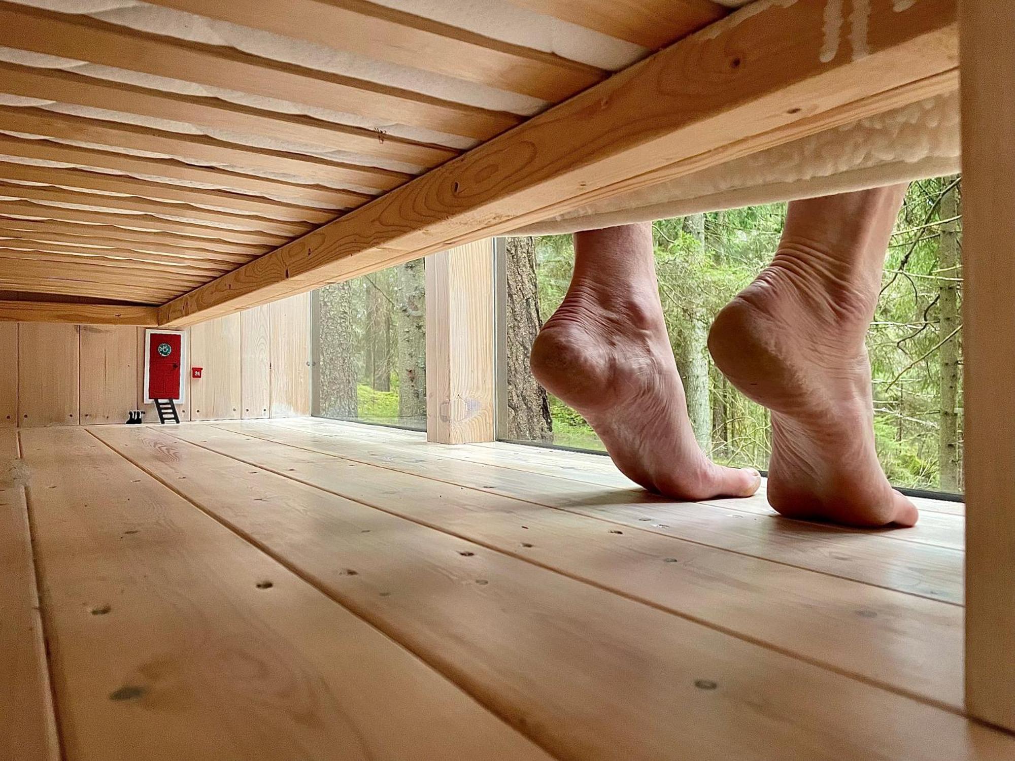 Wood Wise Glasshouse Glamping Luxury tent *