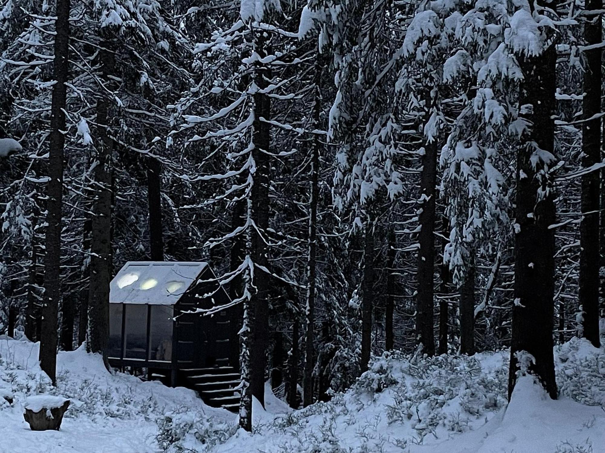 Wood Wise Glasshouse Glamping