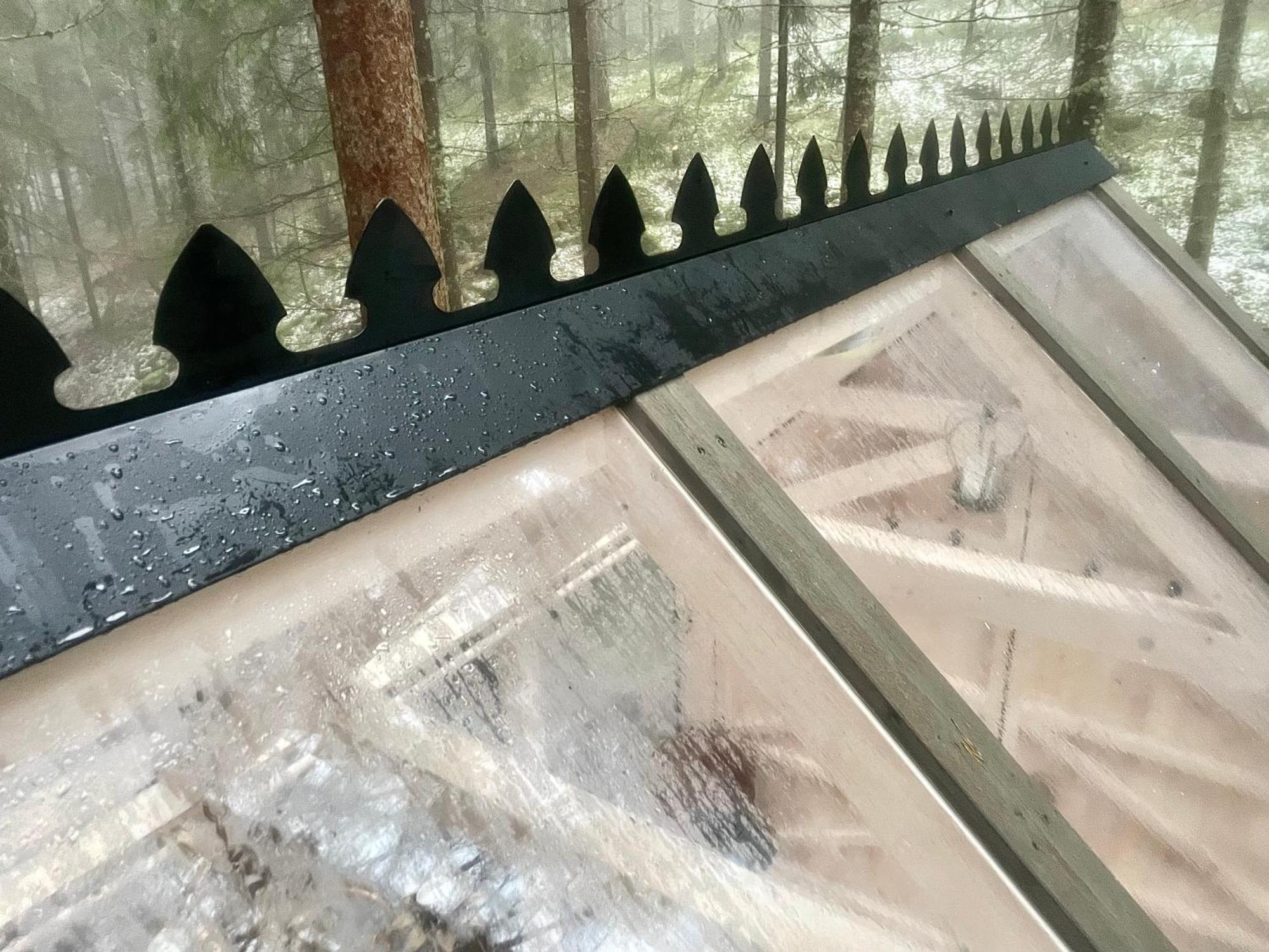 Wood Wise Glasshouse Glamping